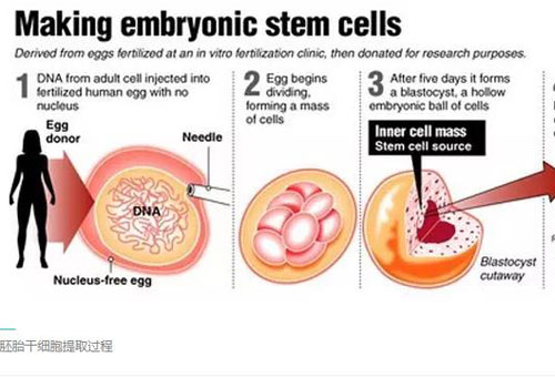 警惕，干细胞宣传的五大忽悠